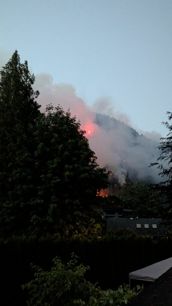 Smoke on the forest